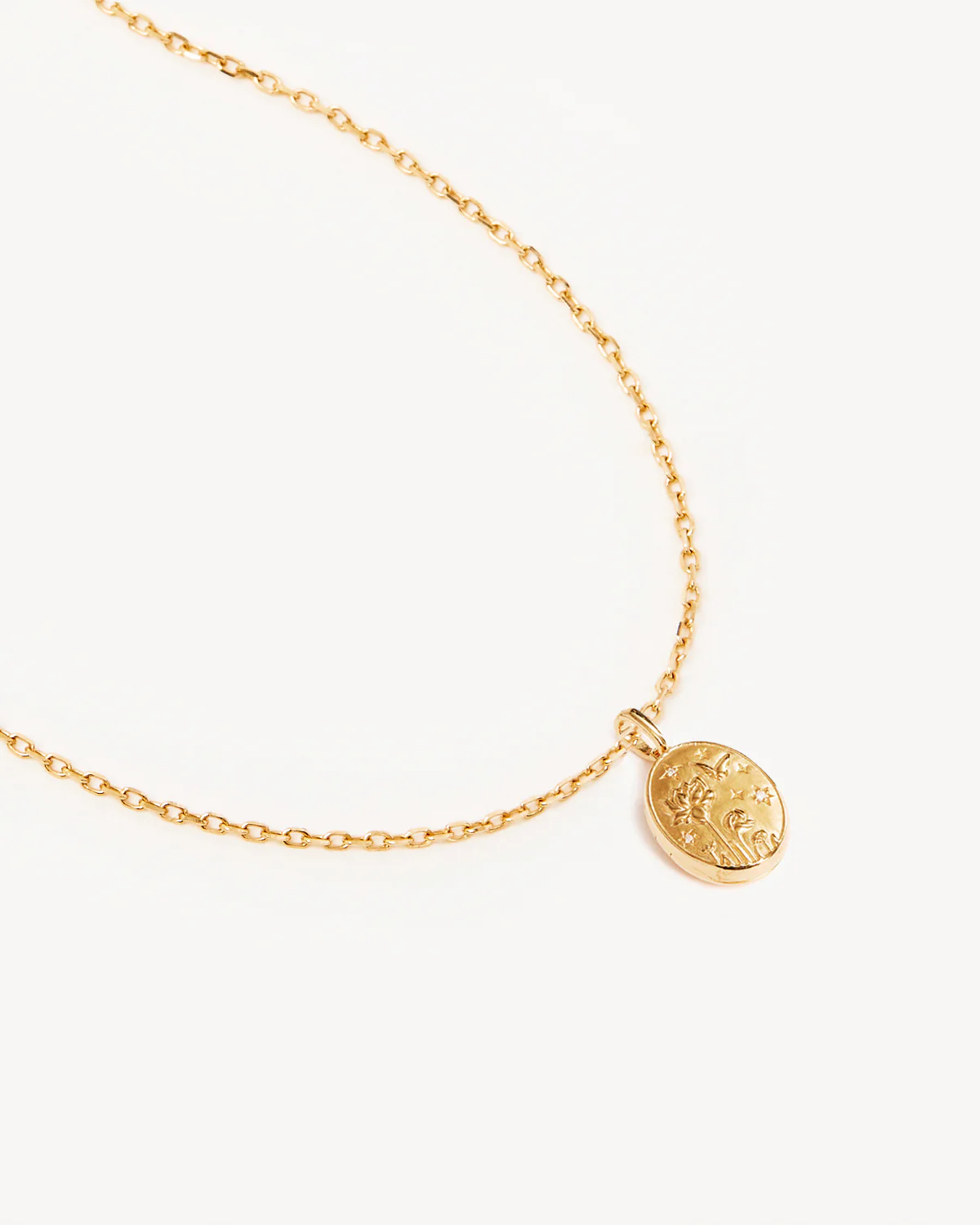 18k Gold Vermeil 18" Everything You Are Is Enough Locket Necklace